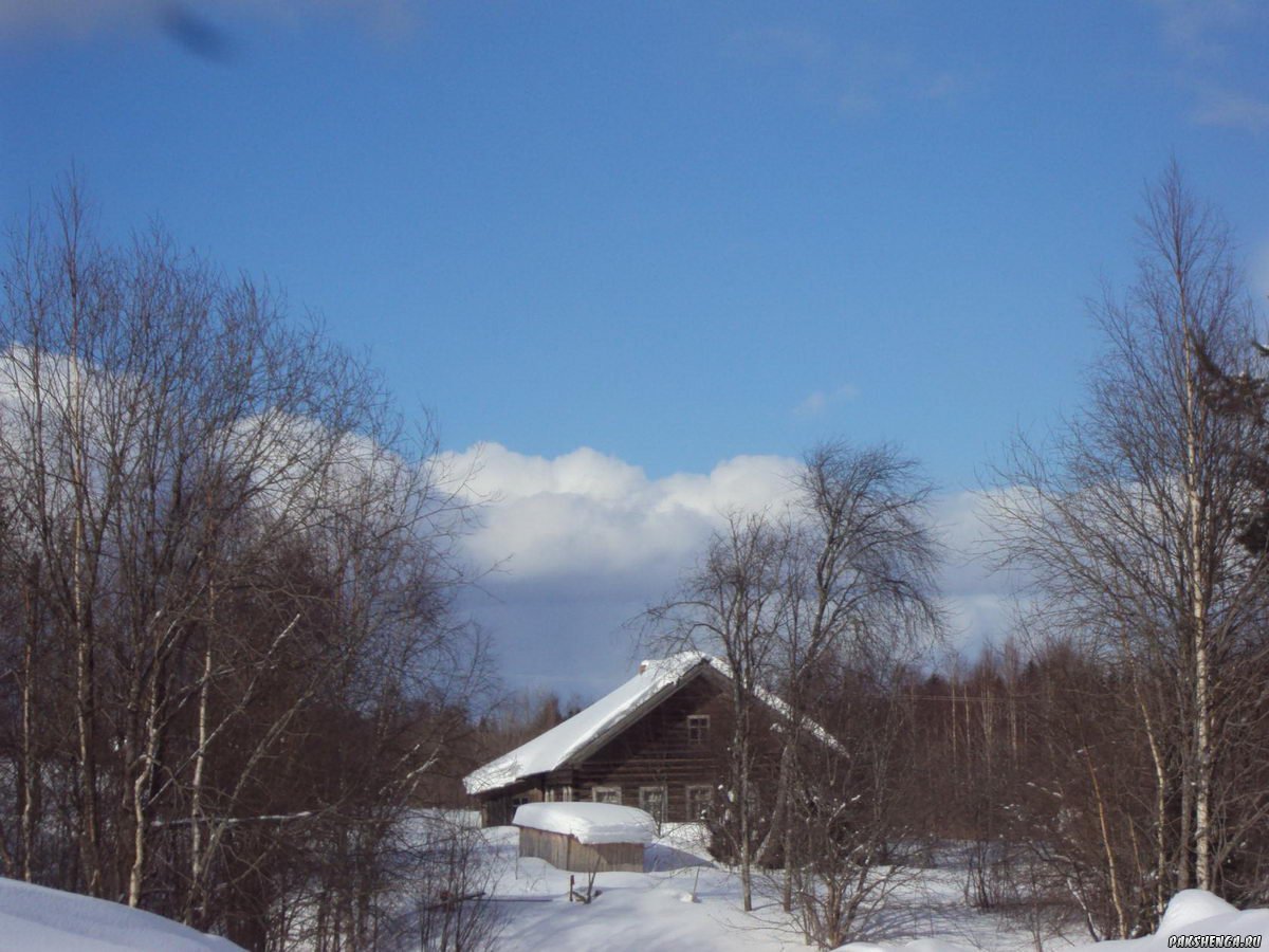 image4444444_ 